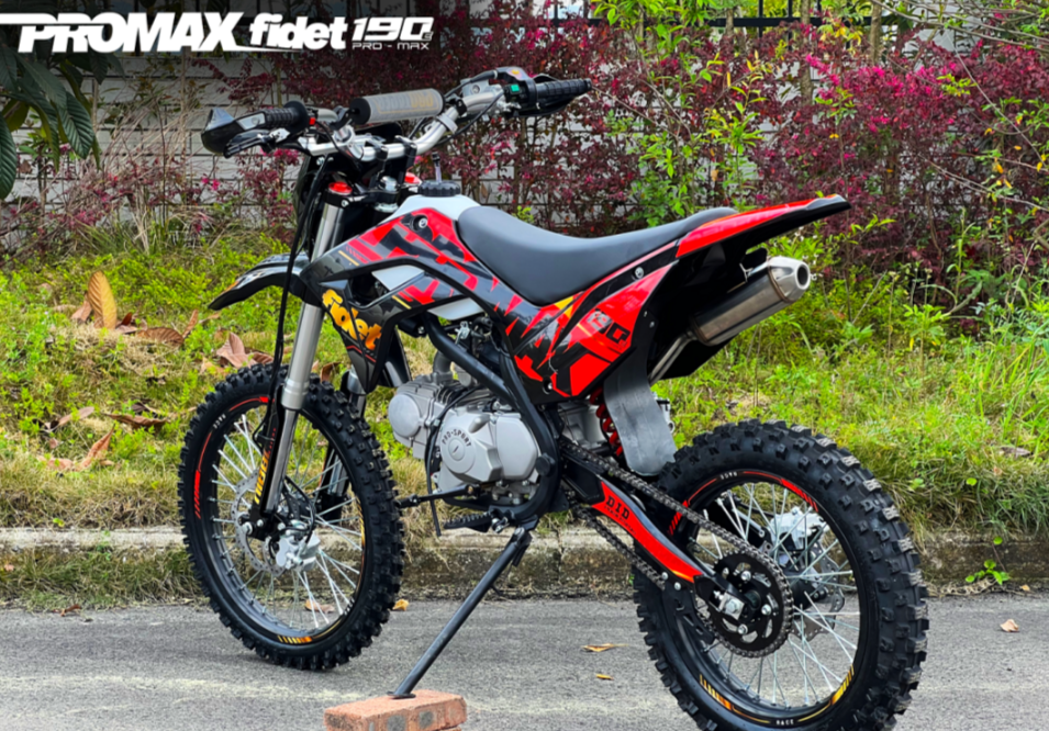 Мотоцикл (питбайк) PROMAX FIDET (ФАЙДЕТ) 190E MAX PRO LUX 19/16 
