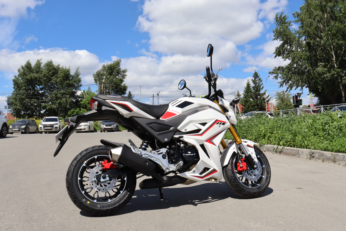 Мотоцикл PROMAX STRYKER 200(49) 2.0 