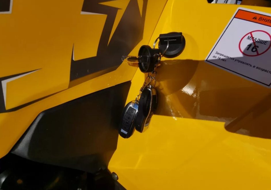 Квадроцикл MOTOLAND (МОТОЛЕНД) VOX200 WILD TRACK X PRO (баланс. вал) 