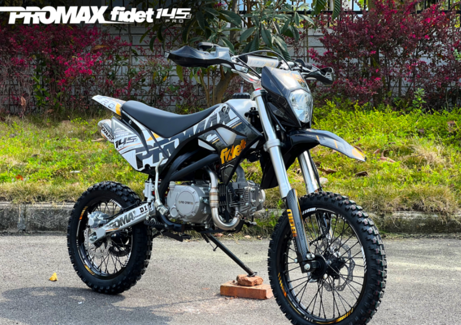 Мотоцикл (питбайк) PROMAX FIDET (ФАЙДЕТ) 145E PRO 17/14 
