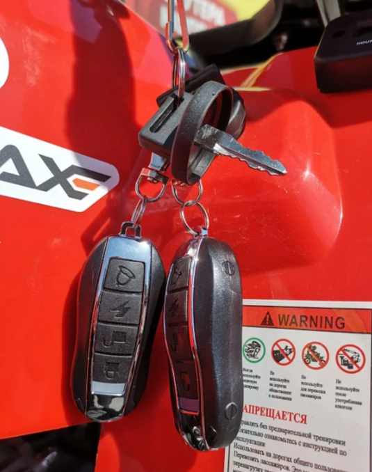 Квадроцикл PROMAX WILD 175 BASIC 