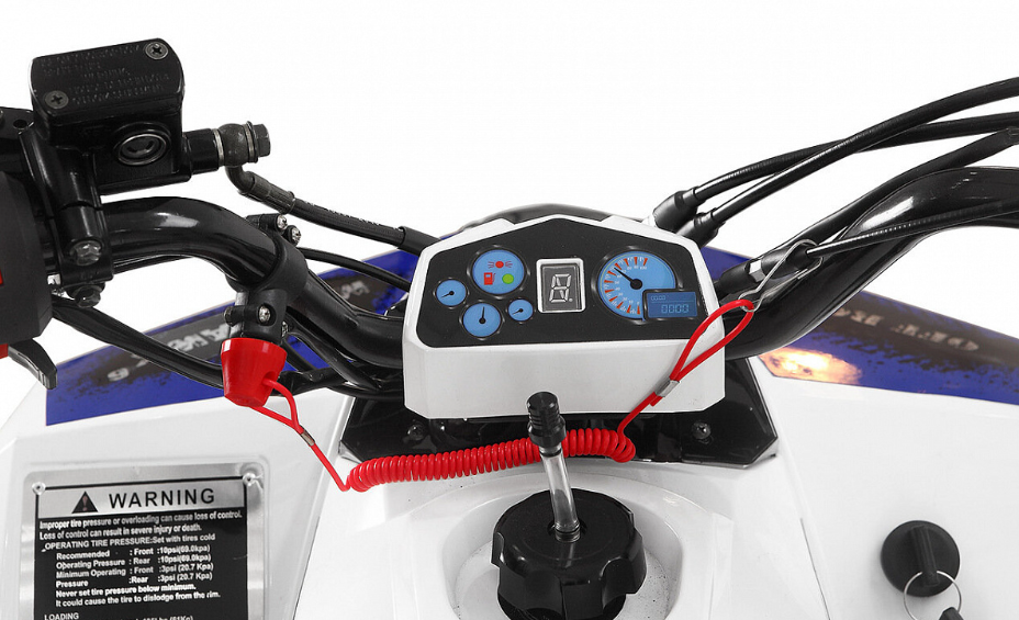 Квадроцикл Yacota Raposa 130 PRO-SPORT 