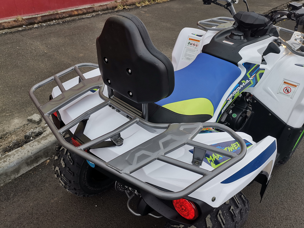 Квадроцикл PROMAX RENEGADE 280 LUX (2025) 