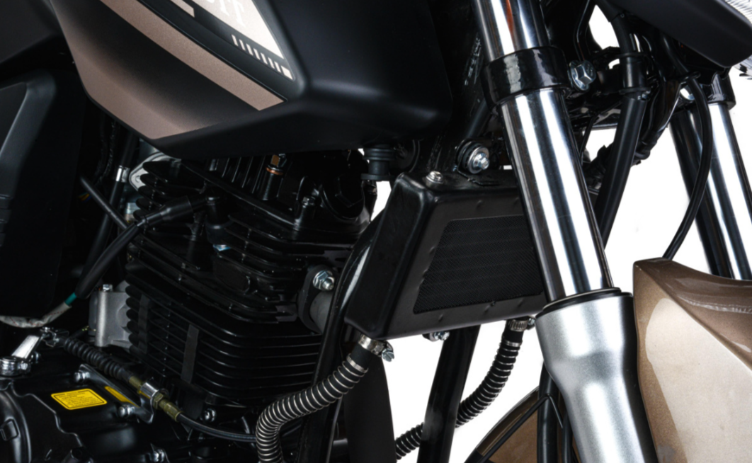 Мотоцикл MOTOLAND (МОТОЛЕНД) 300 BANDIT 