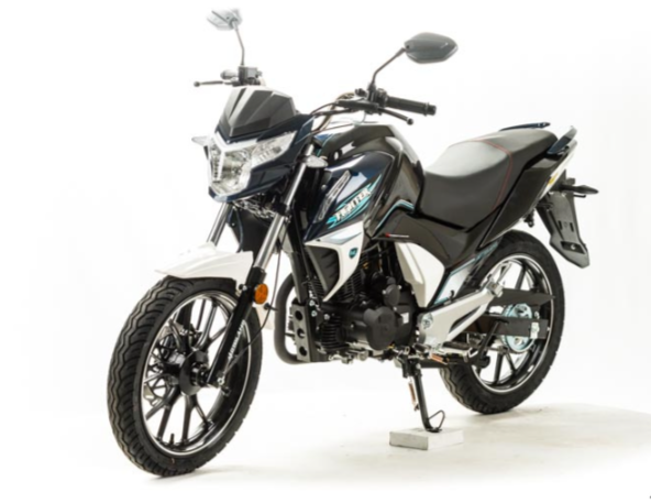 Мотоцикл MOTOLAND (МОТОЛЕНД) FIGHTER 250 
