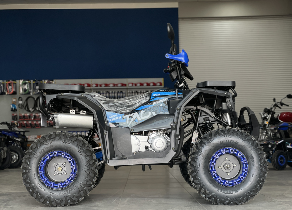Квадроцикл PROMAX TAURUS 300 