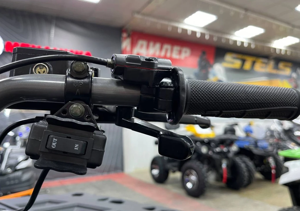 Квадроцикл PROMAX RENEGADE 300 LONG WINCH PRO (2025) 