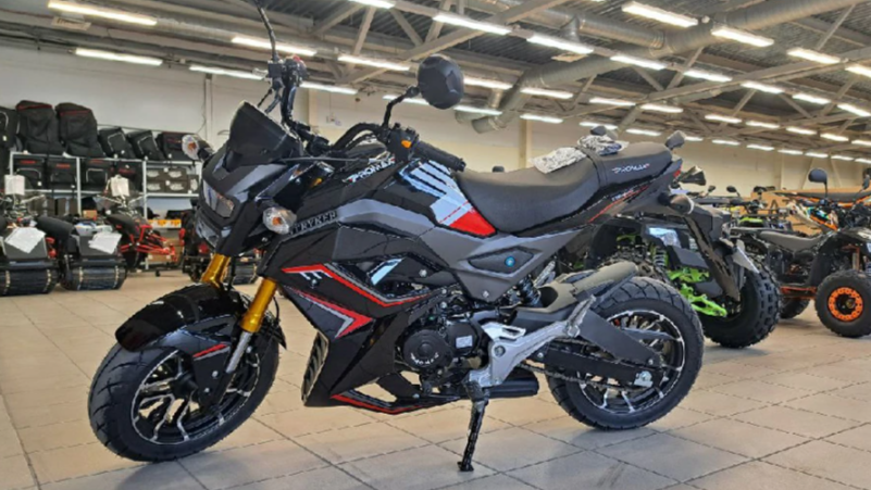 Мотоцикл PROMAX STRYKER 200(49) 