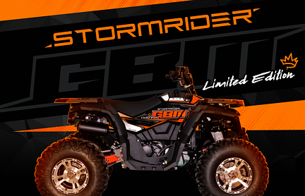 Квадроцикл GBM STORMRIDER 320 NEW LUX 