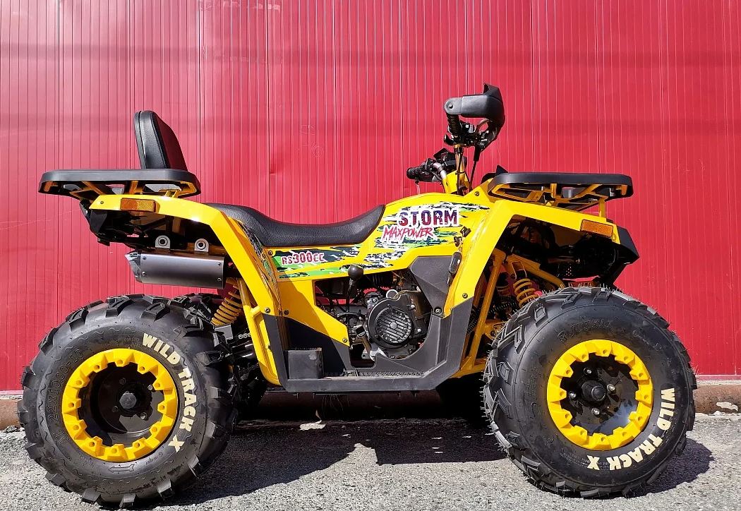 Квадроцикл PROMAX STORM 280 LUX 