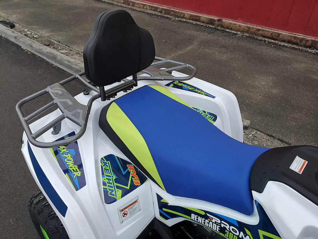 Квадроцикл PROMAX RENEGADE 280 LUX (2025) 
