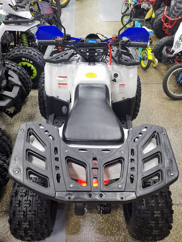 Квадроцикл PROMAX WILD 175 LUX 