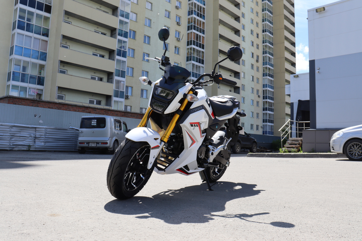 Мотоцикл PROMAX STRYKER 200(49) 2.0 