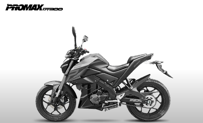 Мотоцикл PROMAX MT300 