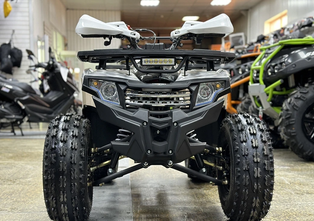 Квадроцикл PROMAX WILD 2.0 190 