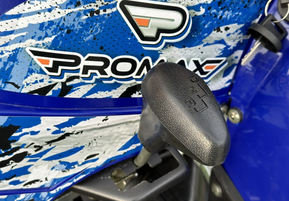  Квадроцикл PROMAX ATV 250 MAX (2025) 