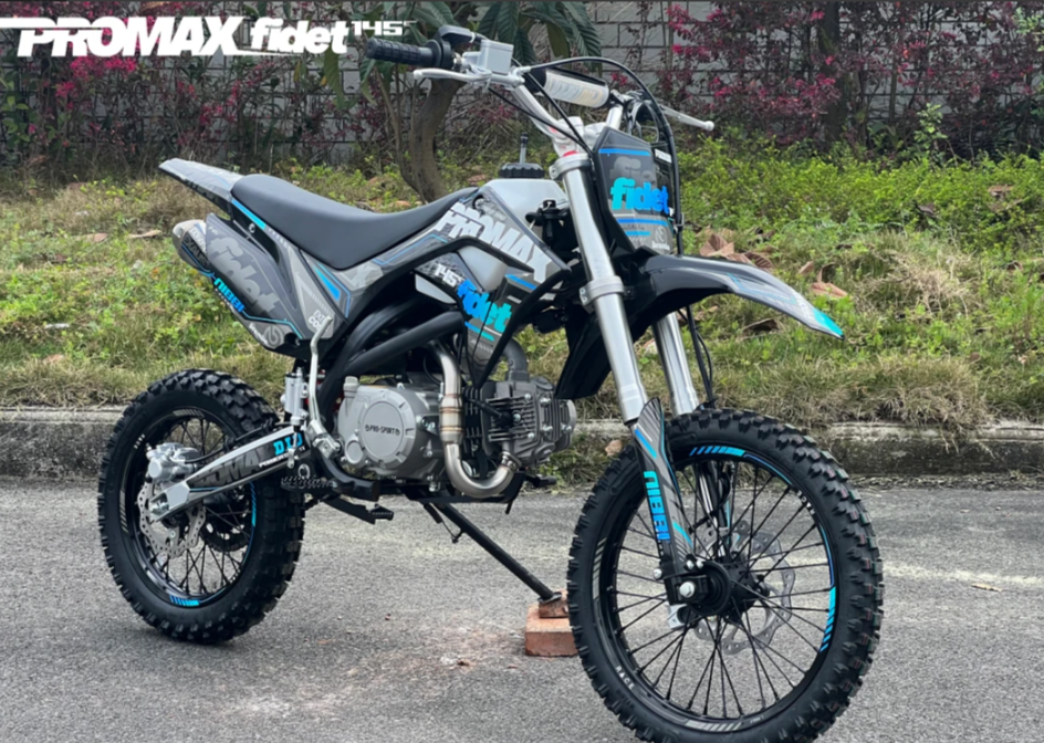 Мотоцикл (питбайк) PROMAX FIDET (ФАЙДЕТ) 145E 17/14 