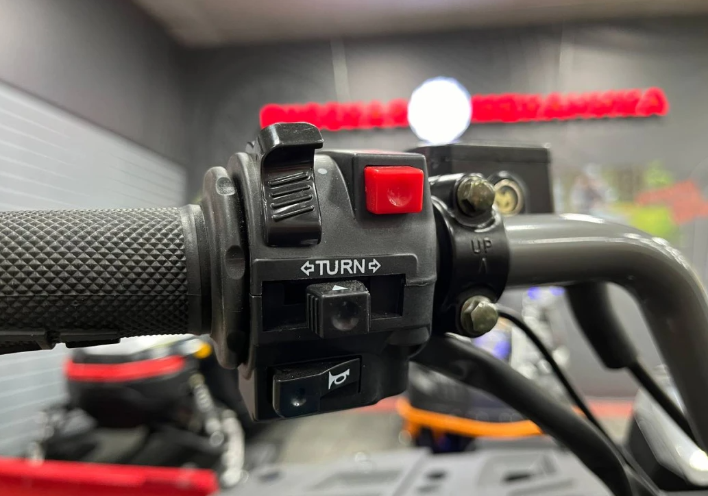 Квадроцикл PROMAX RENEGADE 300 LONG WINCH PRO (2025) 