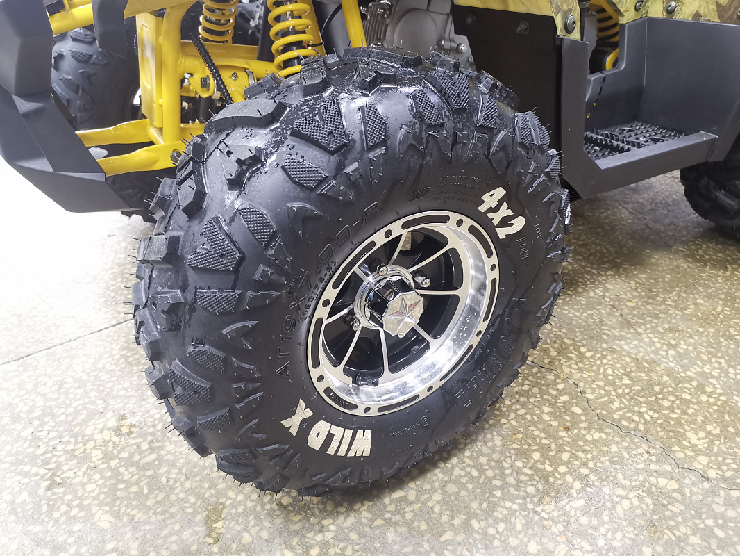 Квадроцикл PROMAX STORM 190 PRO 