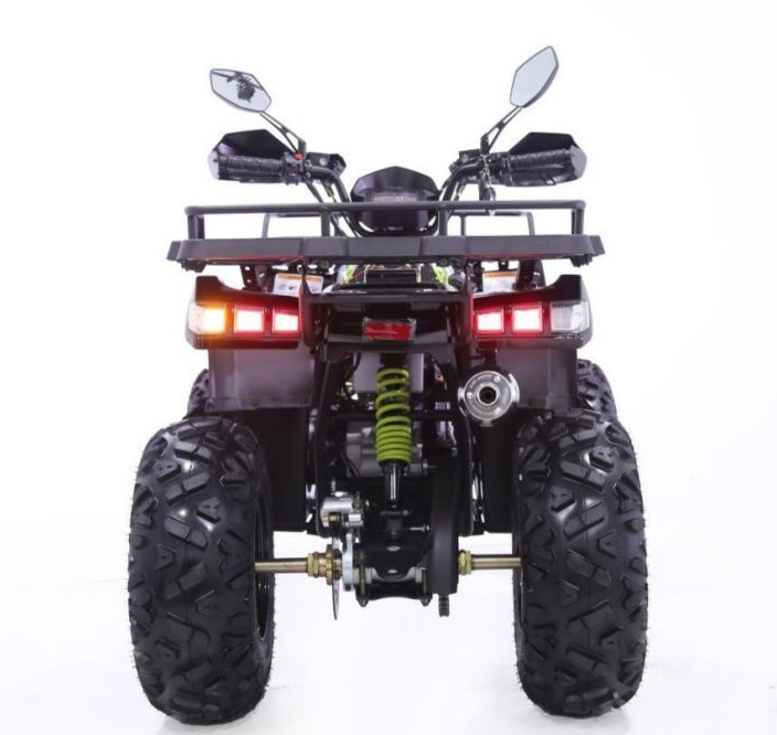 Квадроцикл YACOTA WARRIOR 200 PRO 