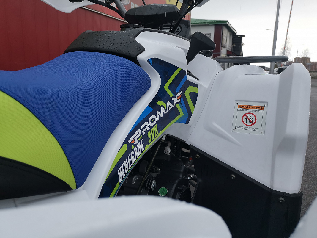 Квадроцикл PROMAX RENEGADE 280 LUX (2025) 