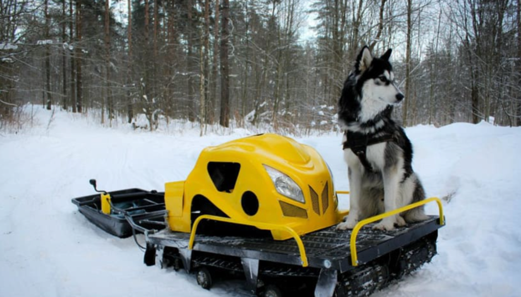 Мотобуксировщик LEBEDEV MOTORS ВОЛКОДАВ POWER V13 