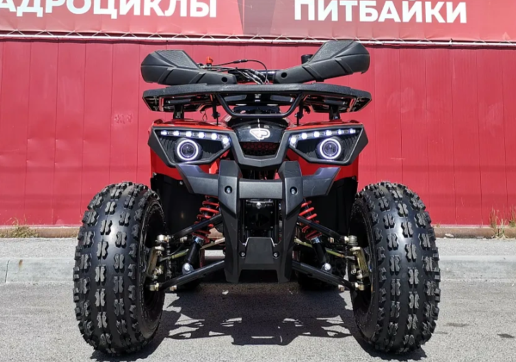 Квадроцикл PROMAX WILD 175 BASIC 