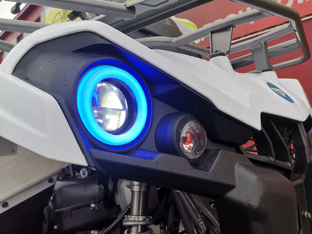 Квадроцикл PROMAX RENEGADE 280 LUX (2025) 