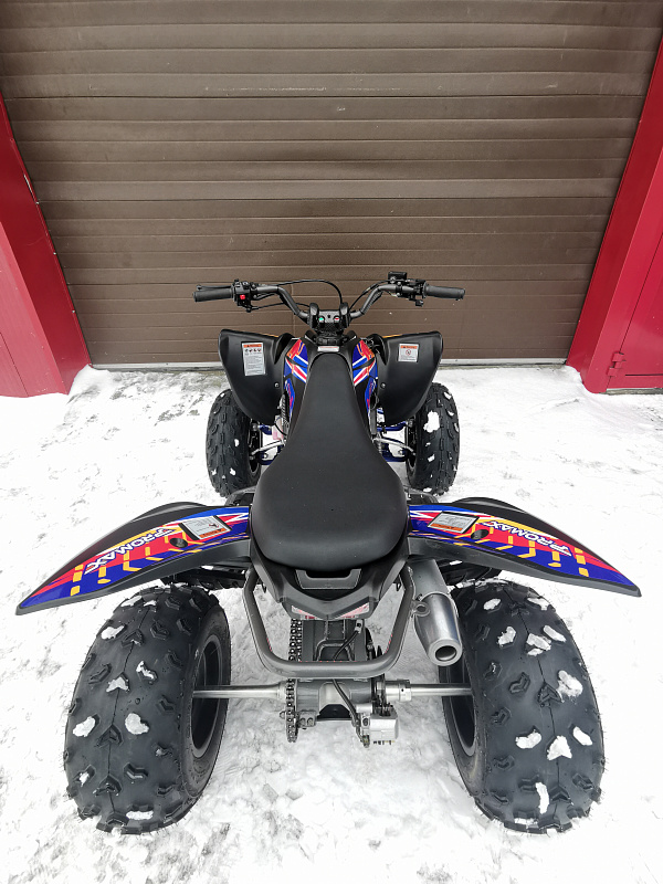 Квадроцикл PROMAX RAPTOR 300 NEW RedBull 