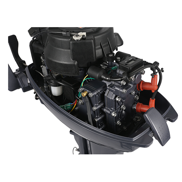 ЛОДОЧНЫЙ МОТОР ALLFA CG Т9,9 Limit 