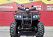 Квадроцикл PROMAX TRX300 CVT 