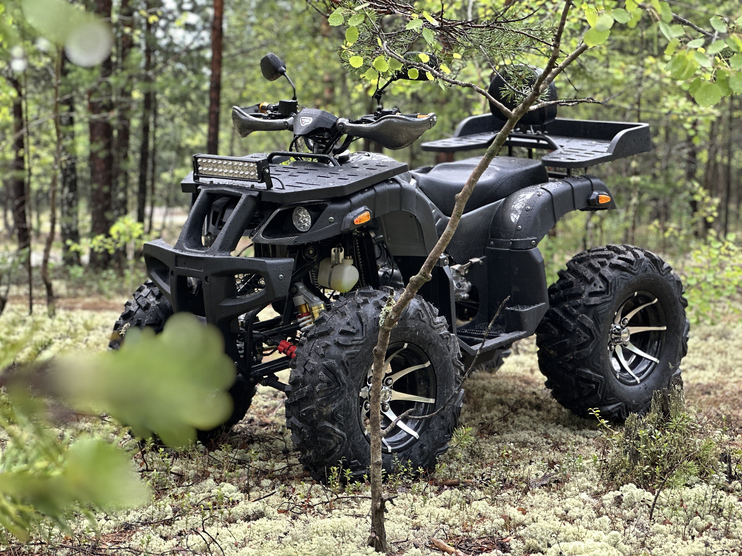 Квадроцикл PROMAX 320 DOMINATOR (2025) 