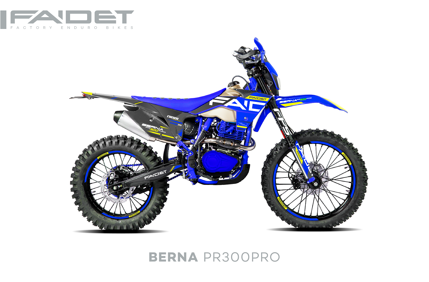 Кроссовый мотоцикл FAIDET BERNA PR300-PRO FPS 