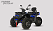 Квадроцикл PROMAX TAURUS 300 MAX-PRO LONG 