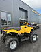 КВАДРОЦИКЛ IRBIS ATV 250  