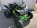 Квадроцикл PROMAX RAPTOR 300 NEW Monster 