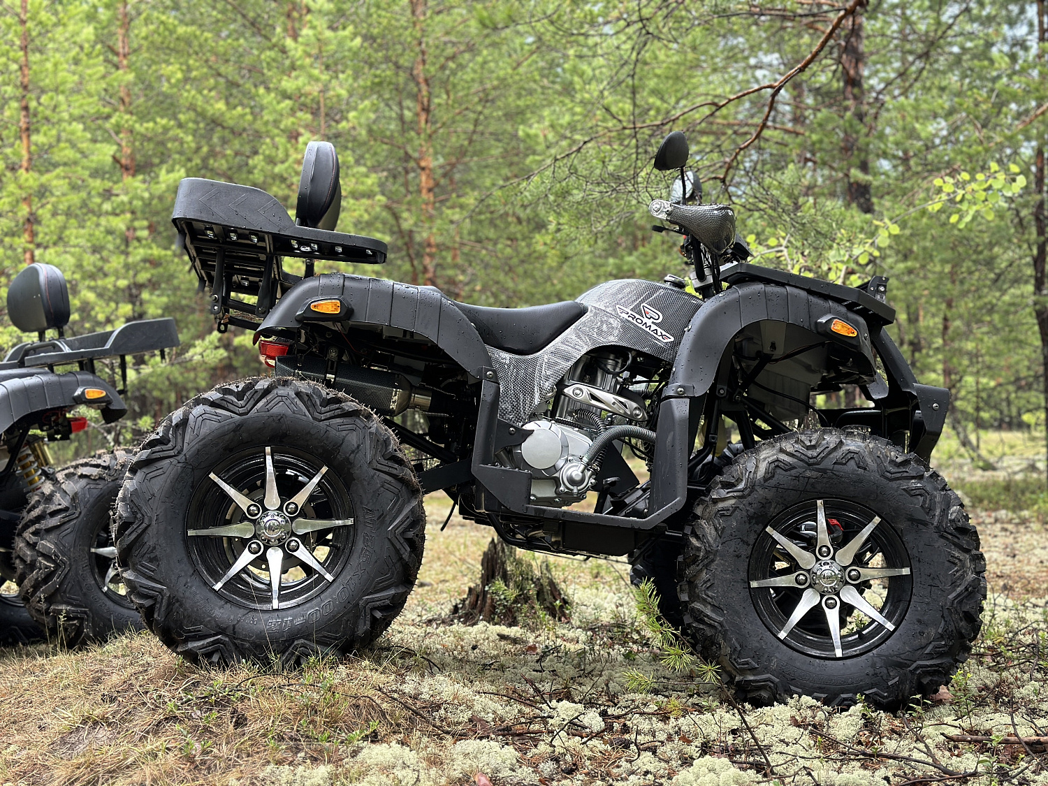 Квадроцикл PROMAX 320 DOMINATOR (2025) 