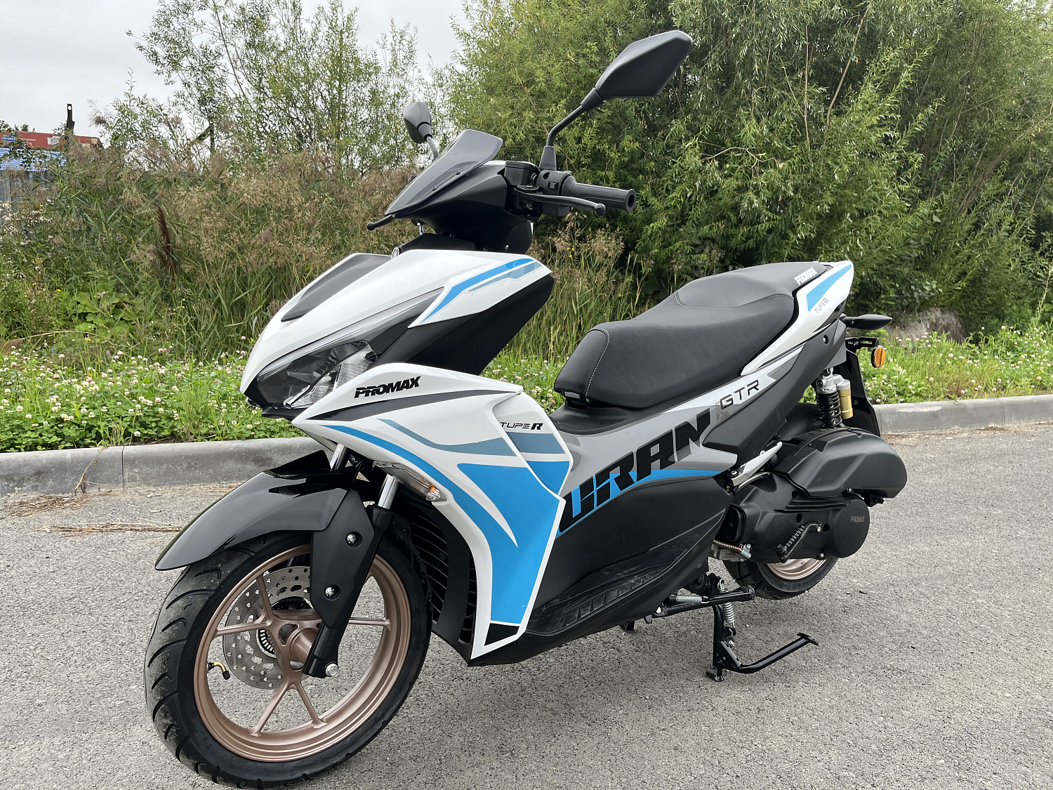 Скутер PROMAX TURAN 250 (49) 