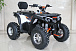 Квадроцикл GBM STORMRIDER 320 PREMIUM 