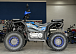 Квадроцикл PROMAX TAURUS 300 