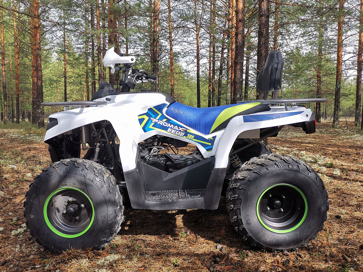 Квадроцикл PROMAX RENEGADE 280 (2025) 