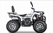 Квадроцикл YACOTA VIKING PRO 200 