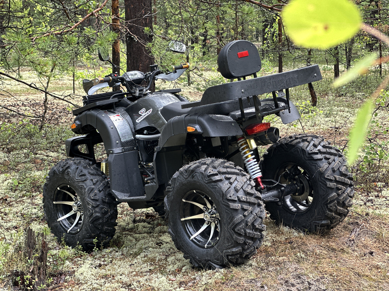 Квадроцикл PROMAX 320 DOMINATOR (2025) 