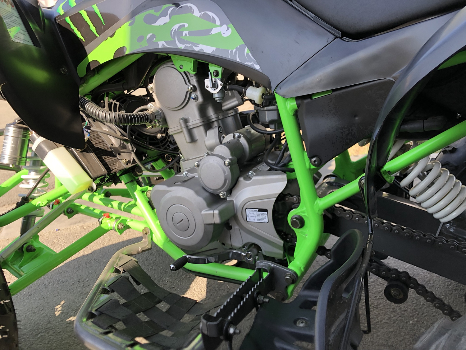 Квадроцикл PROMAX RAPTOR 300 NEW Monster 