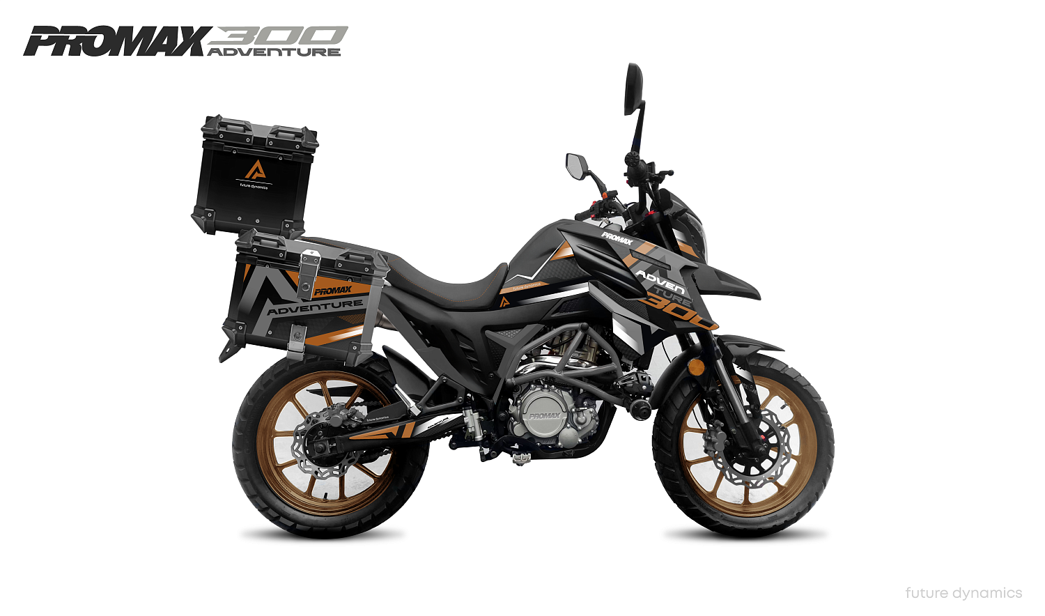 Мотоцикл PROMAX ADVENTURE 300 PRO EFI (NB300) 