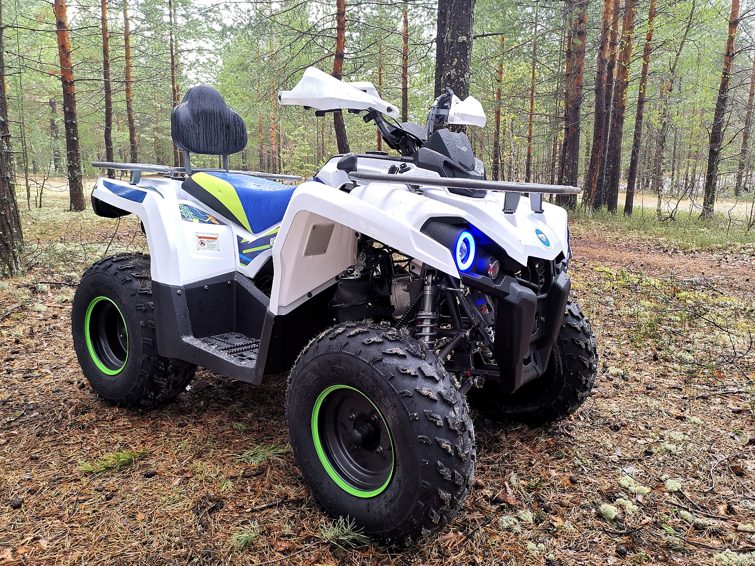 Квадроцикл PROMAX RENEGADE 280 (2025) 