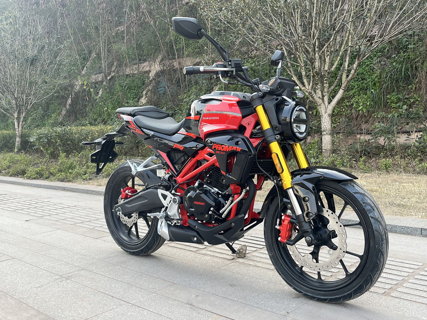 Мотоцикл PROMAX CB300RL (4V, 6G) 