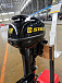 Лодочный мотор STELS 9.9HP 
